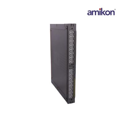 Sasis ICS Tripleks AMIKON T8240C IO