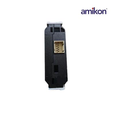 Kartu I/O Pesona EMERSON 12P4987X062 KL2101X1-BA1