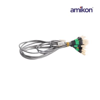 Kabel Tautan I/O Honeywell 51202329-202