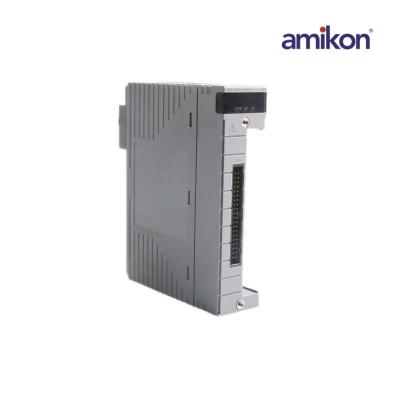 Modul I/O Analog Yokogawa AAI841-H03 S1