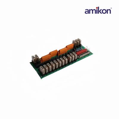 MC-TDOY23 51204166-175