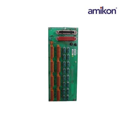 8C-TAIX61/51306977-175