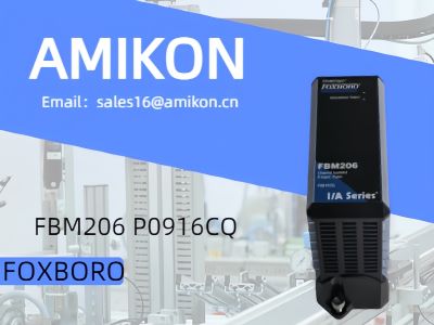 Modul Masukan Terisolasi FOXBORO FBM206 P0916CQ
